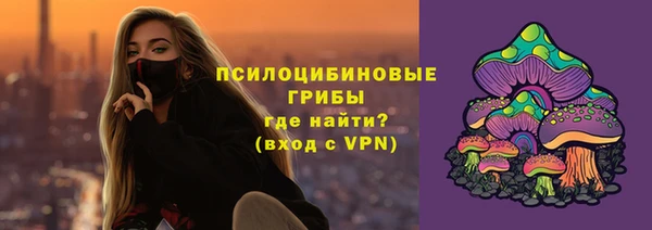 гидра Бугульма