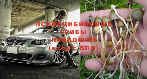 гидра Бугульма