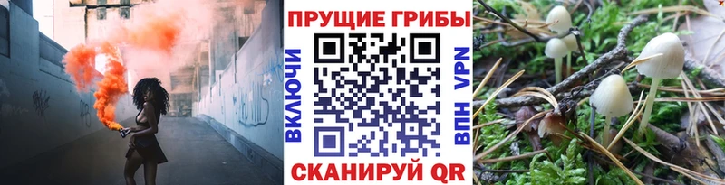 Псилоцибиновые грибы MAGIC MUSHROOMS  Ува 